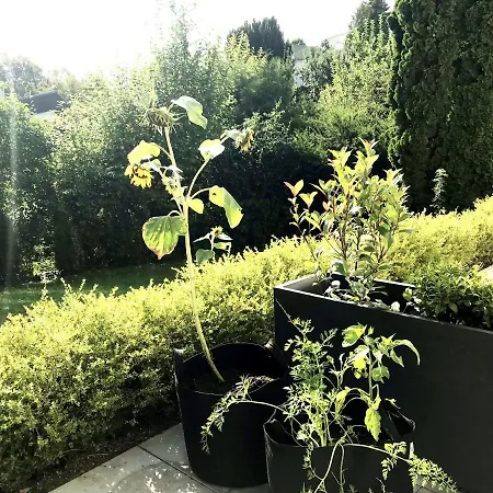 Business Tuscany Mit Grosser Gartenterrasse Apartamento